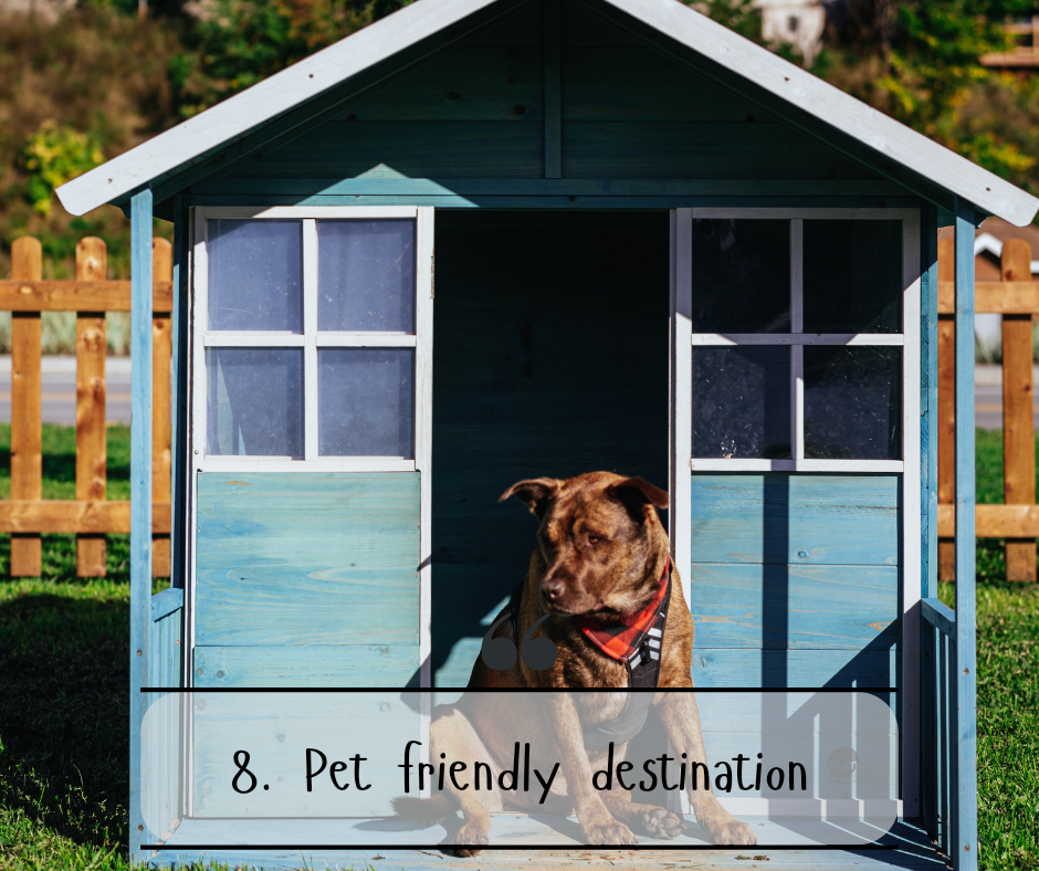 8. Pet friendly destination 