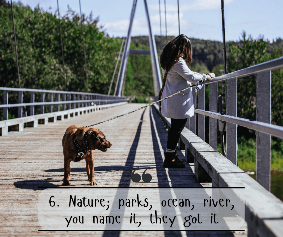 6. Nature; parks, forest, beach