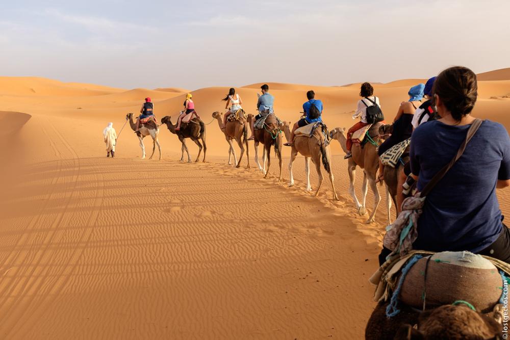 Moroccan Sahara Camel Trekking and Camping