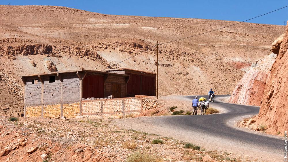 Fes to Marrakech via Erg Chebbi Dunes - Part 3