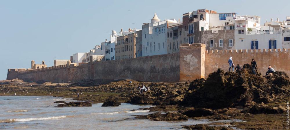 Essaouira, the City of Seagulls
