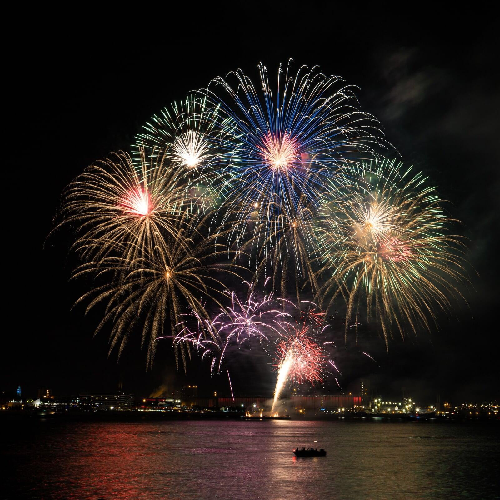 Chrysantenum firework