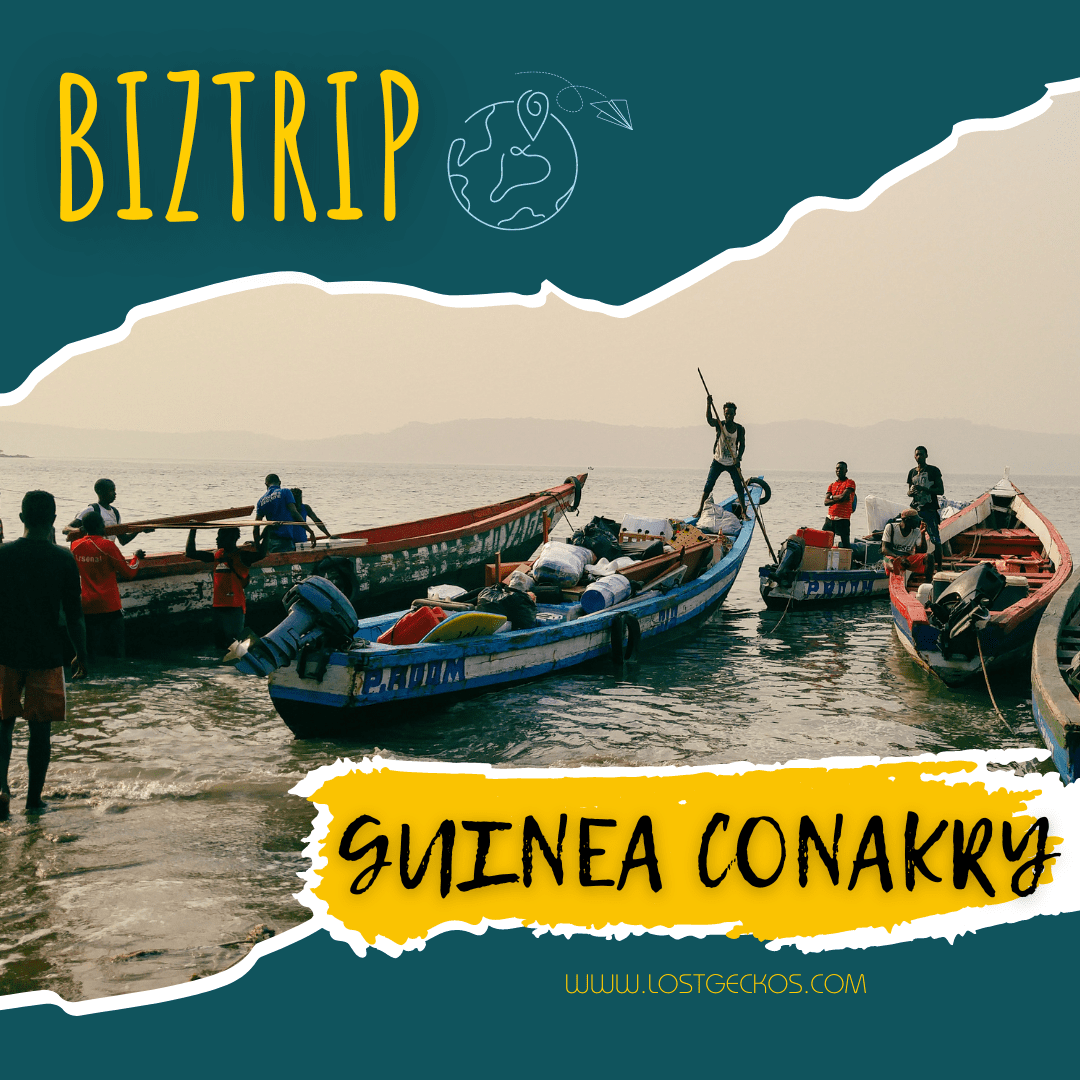 Biztrip - Guinea Conakry