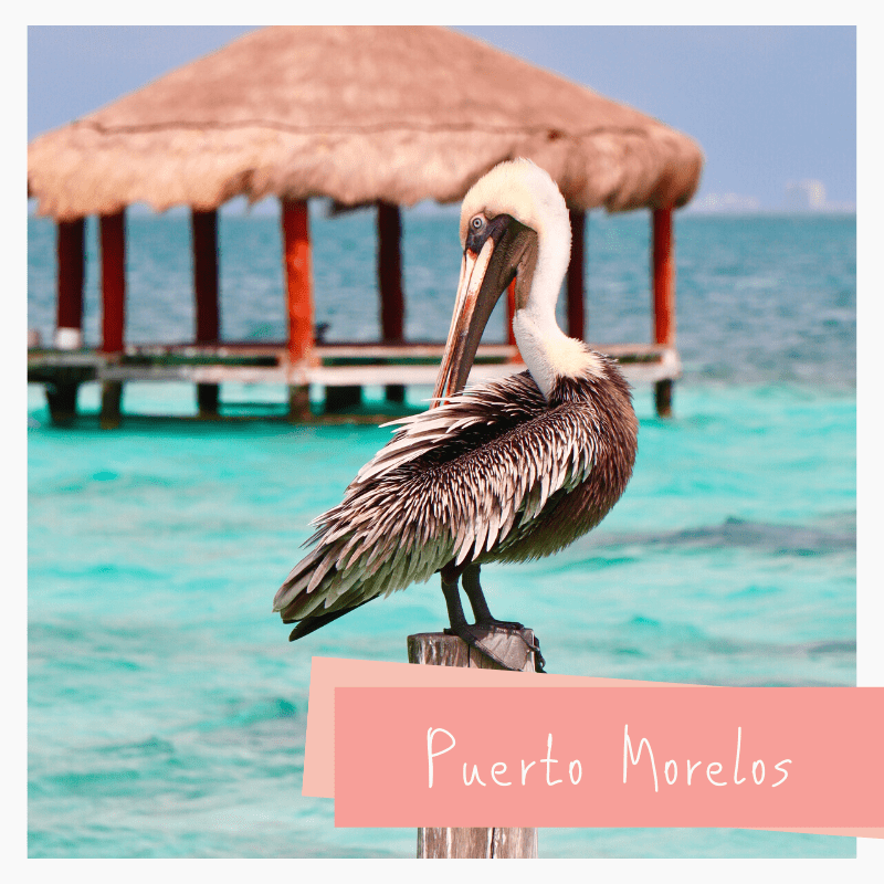 puerto morelos 2