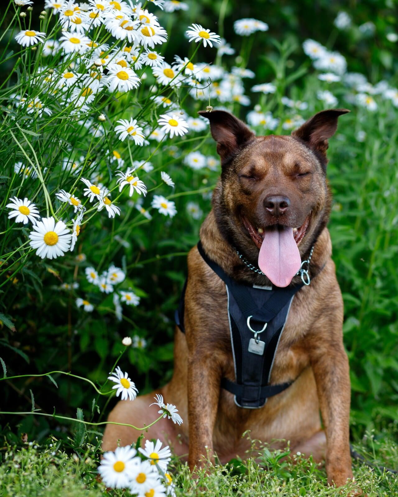 IMG 20220702 220430 762