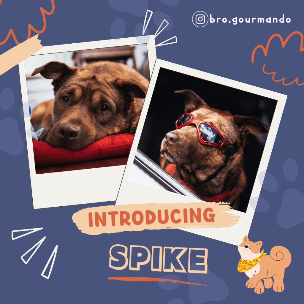 introducing spike 3