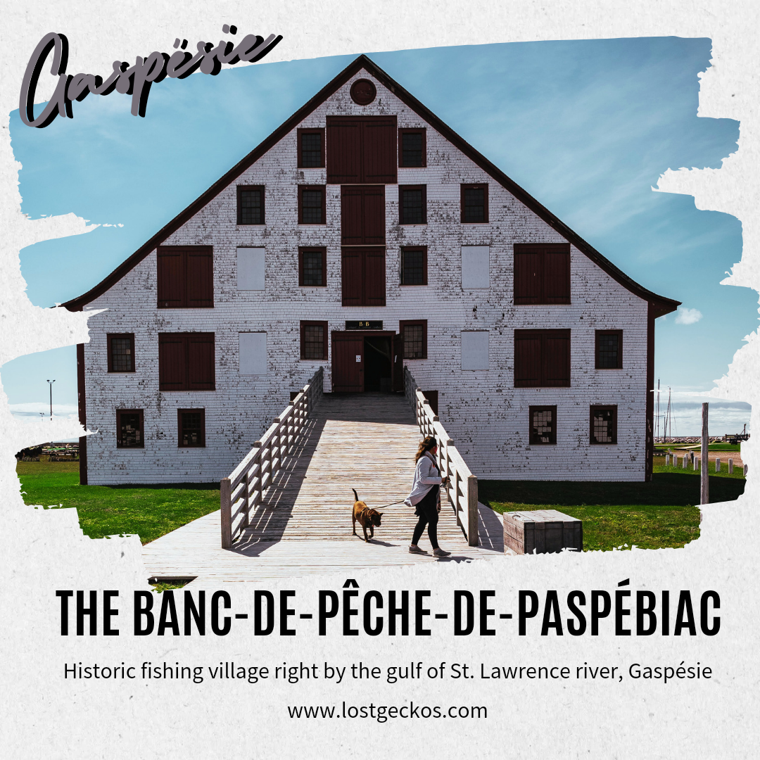 20230904 161047 0000 3