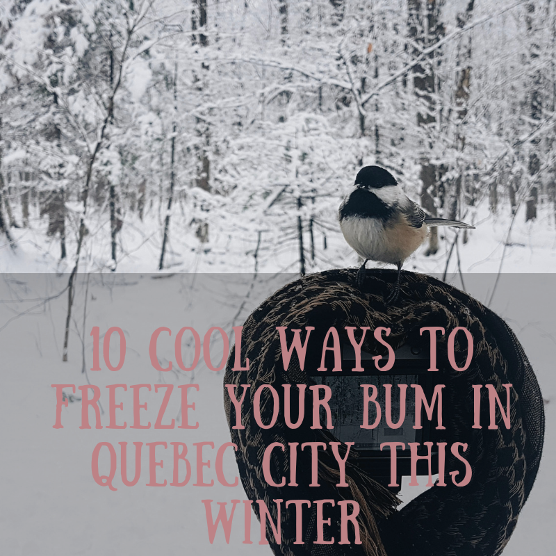 10 winter things quebec