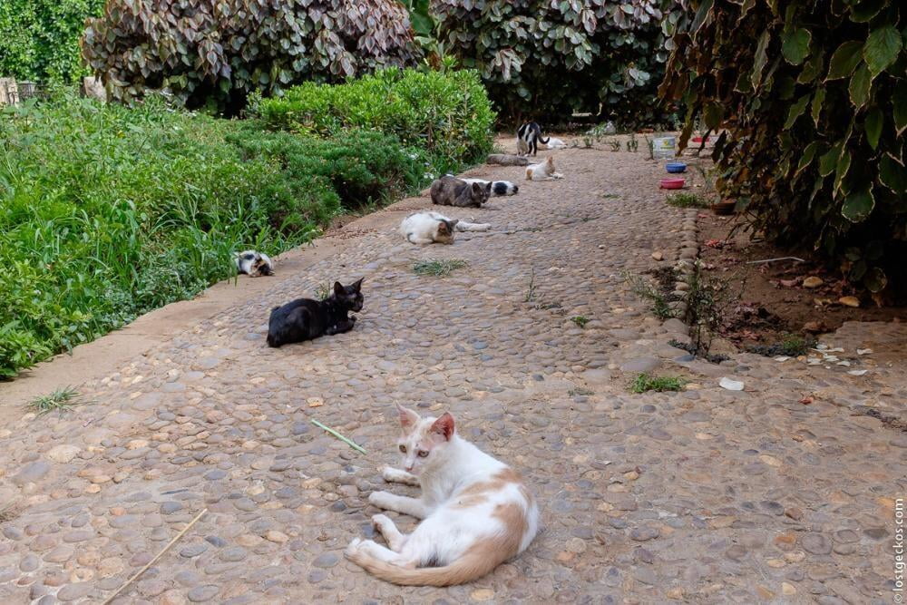 Andalusian Gardens 3250