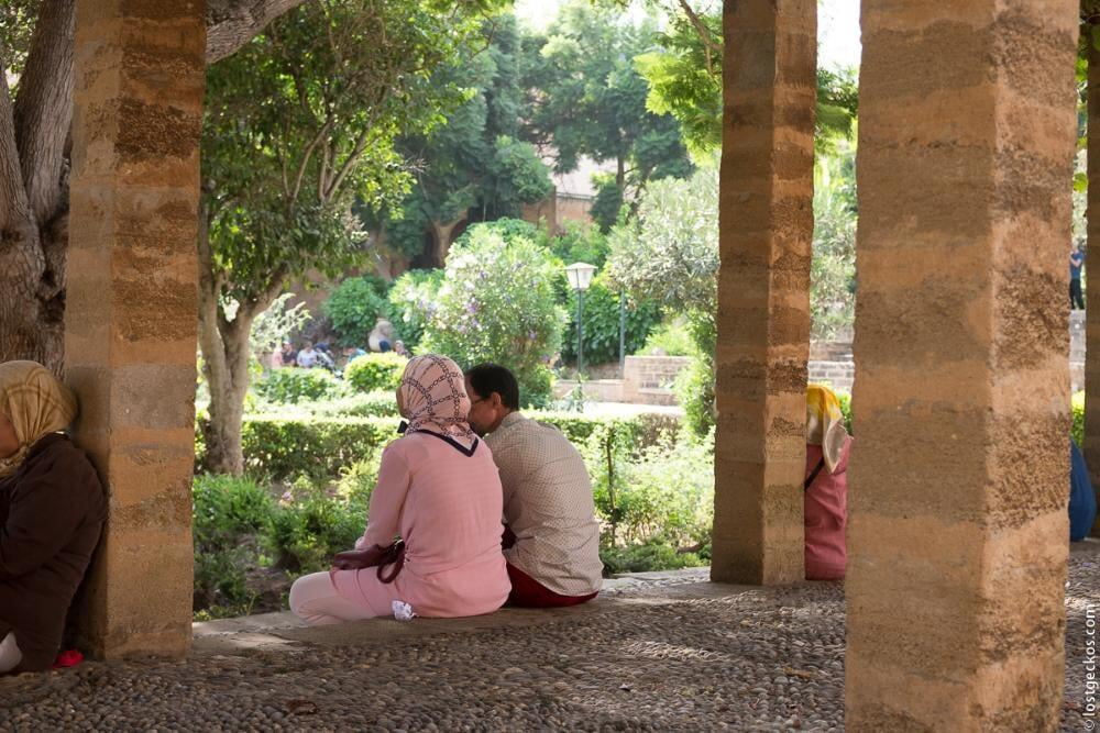 Andalusian Gardens 3258