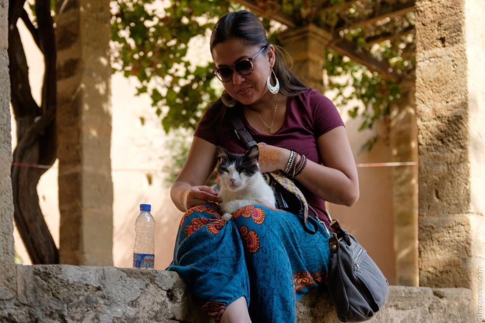 Andalusian Gardens 3268