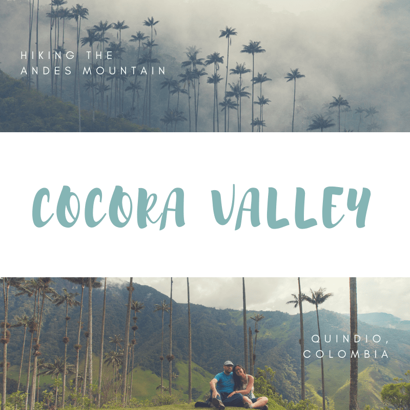 cocora valley 1