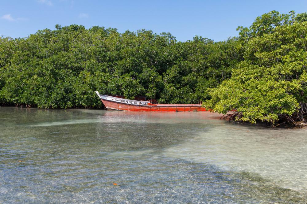 Gente De Mar In Playa Del Rosario