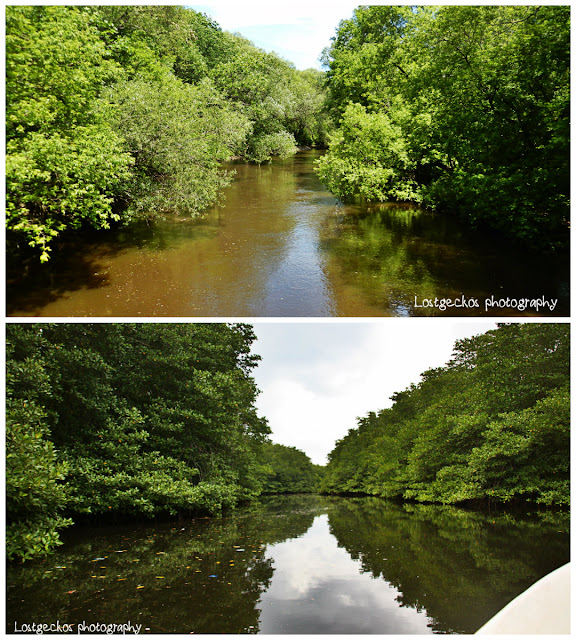 Maison2BO2527neill2B3