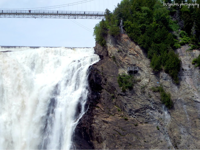 Montmorency2B4