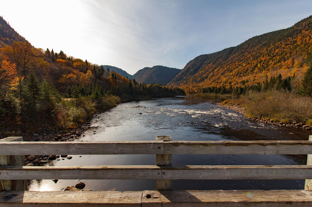 PJC 2BScotora2B 2BNP 9171