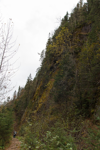 PJC 2BScotora2B 2BNP 9301