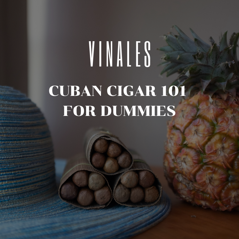 vinales cuban cigar 101 for dummies