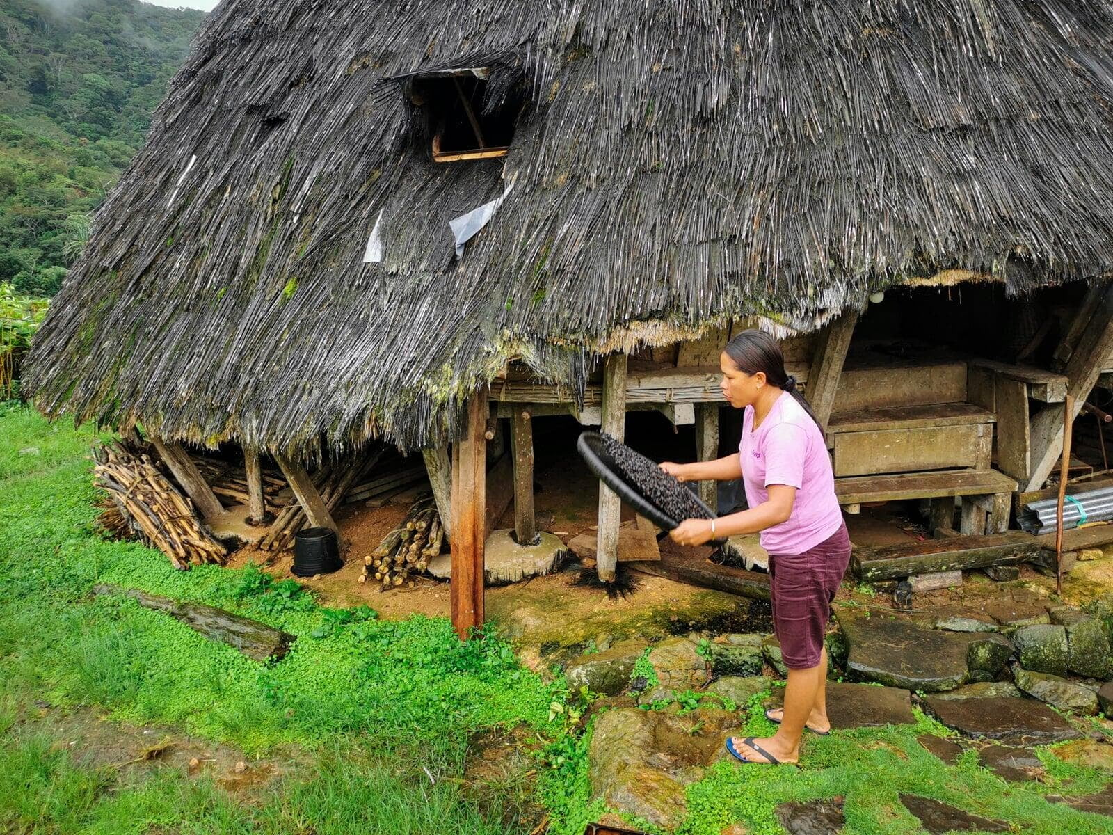 Wae Rebo Coffee Roasting