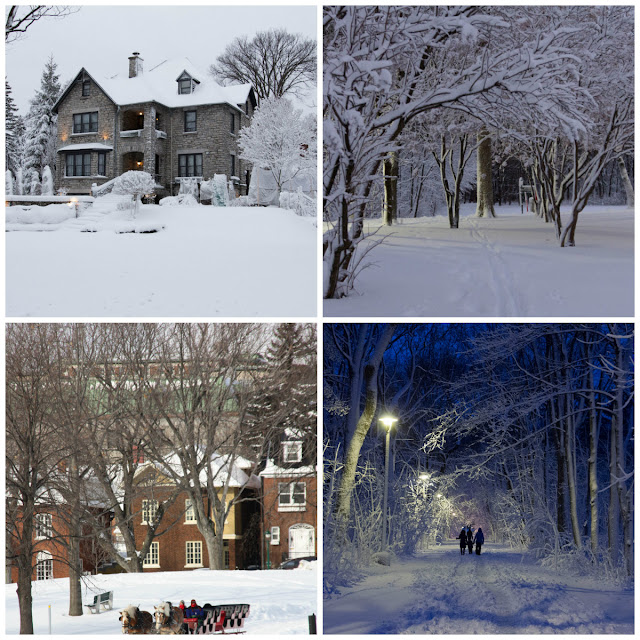 Collage Winter2
