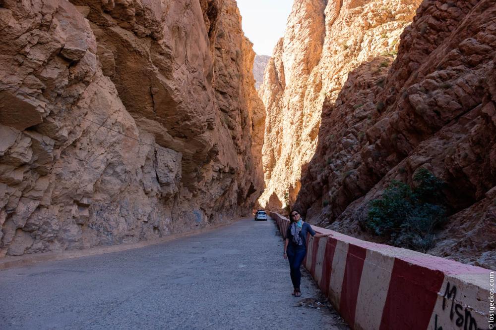Dades Gorge Valley 4536