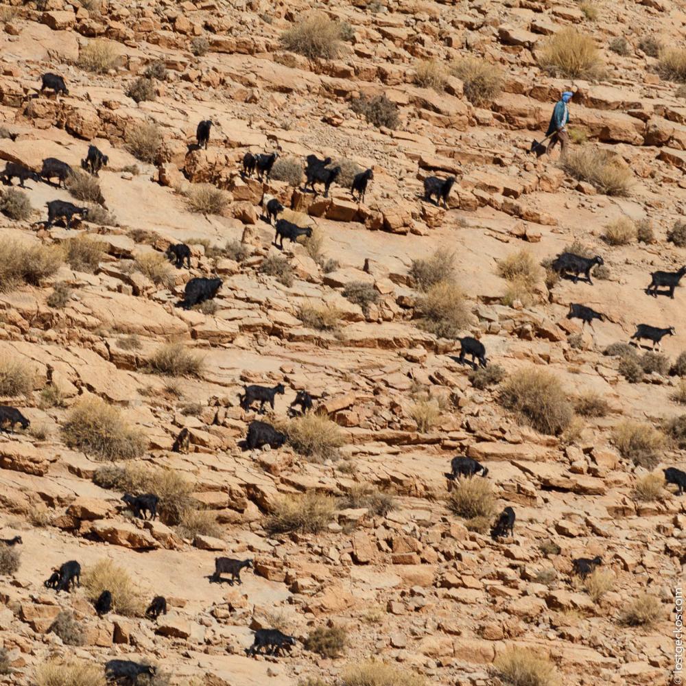 Dades Gorge Valley 7092