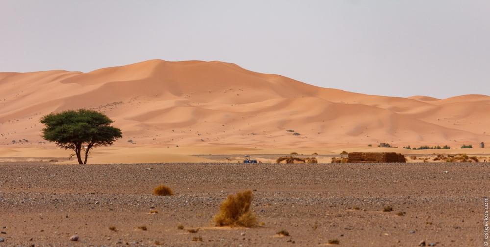 Erg Chebbi 6725