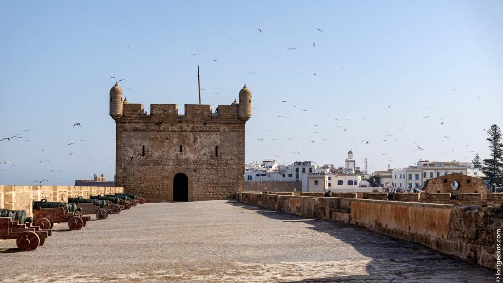 Essaouira 5069