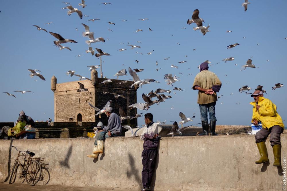 Essaouira 5107