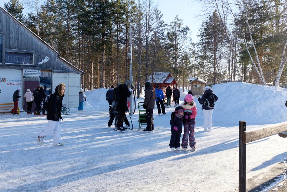 Forest Enchantee 7272