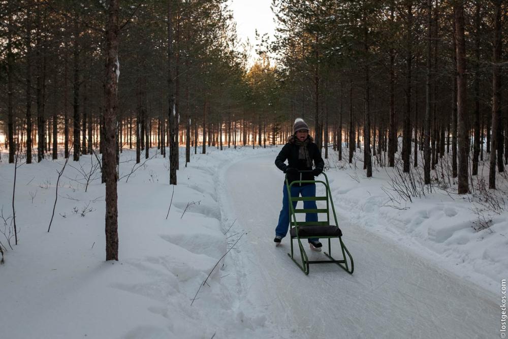 Forest Enchantee 7320