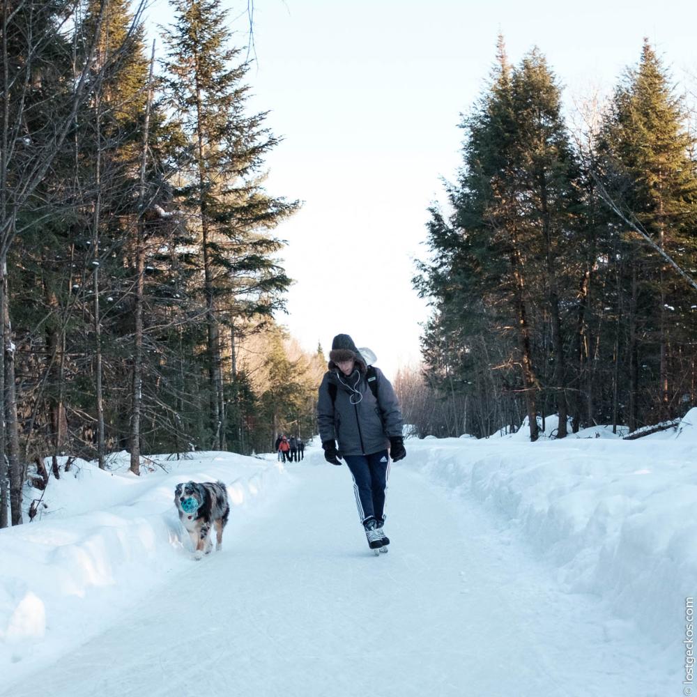 Forest Enchantee 7333