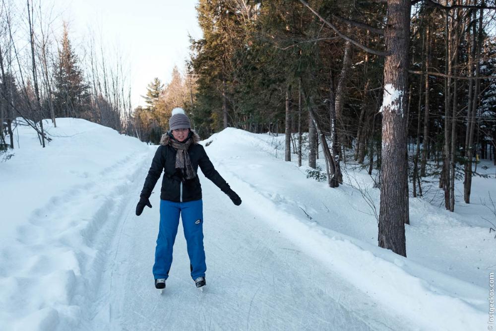 Forest Enchantee 7346