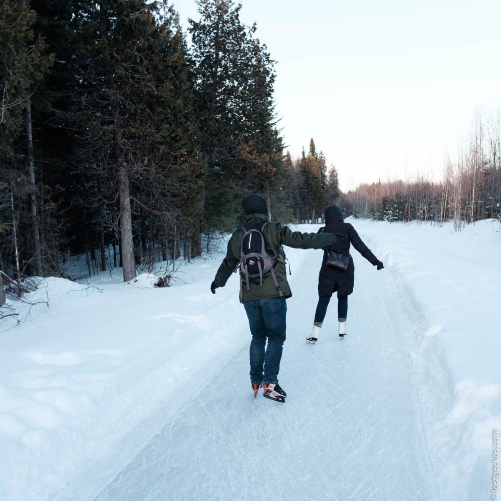 Forest Enchantee 7354