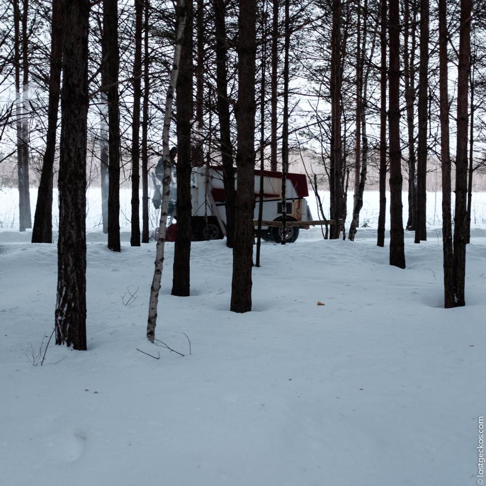 Forest Enchantee 7433