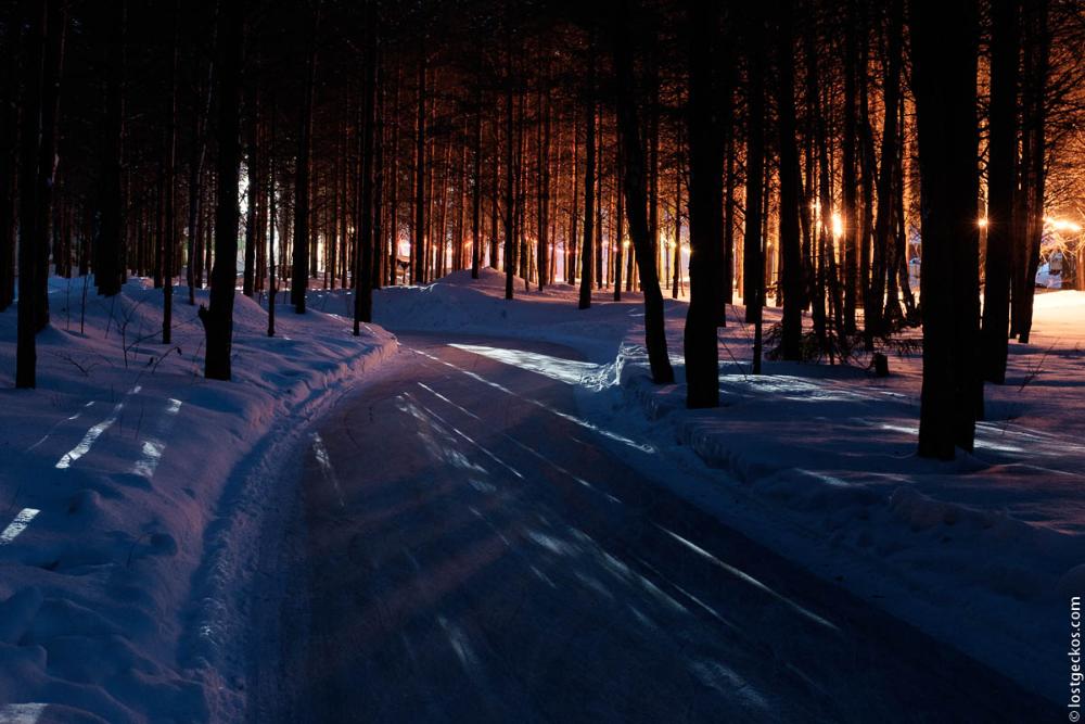 Forest Enchantee 7499