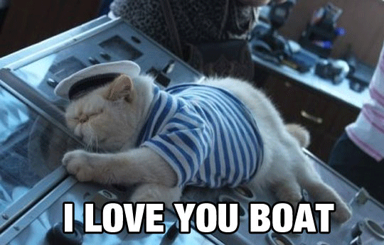 Funny Pictures Sailor Cat Love You Boat