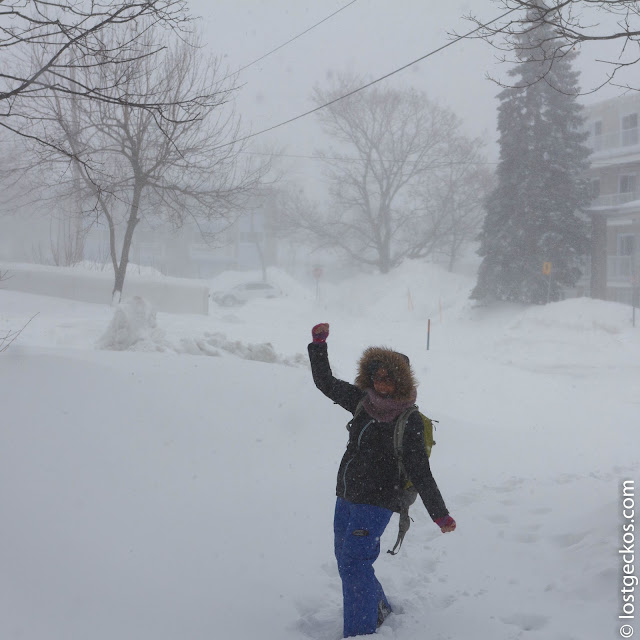 Joyous Snow Storm 9469