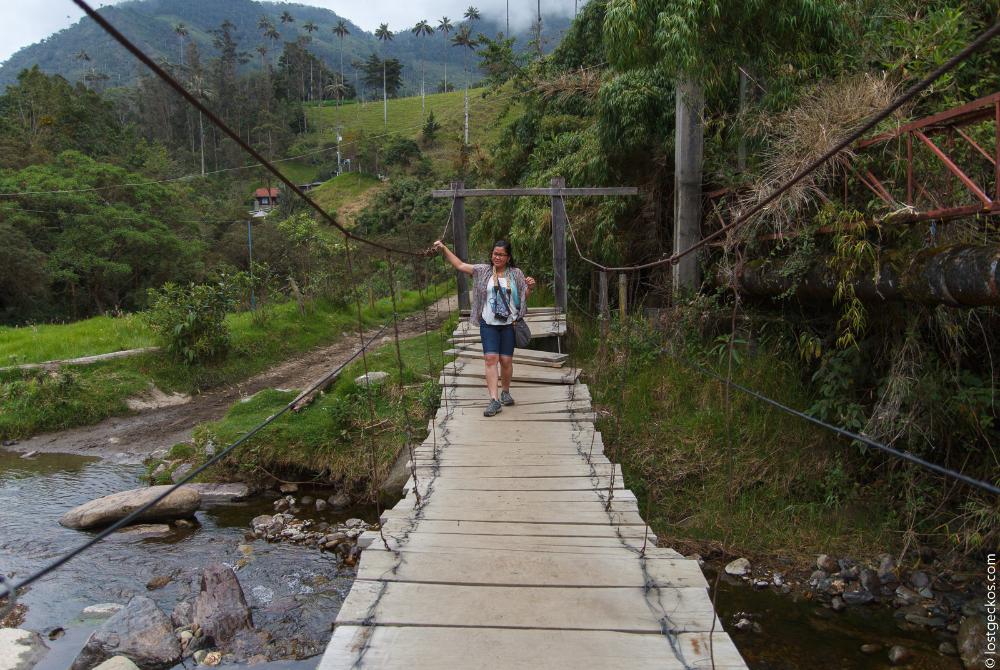 Valle Del Cocorra 1813