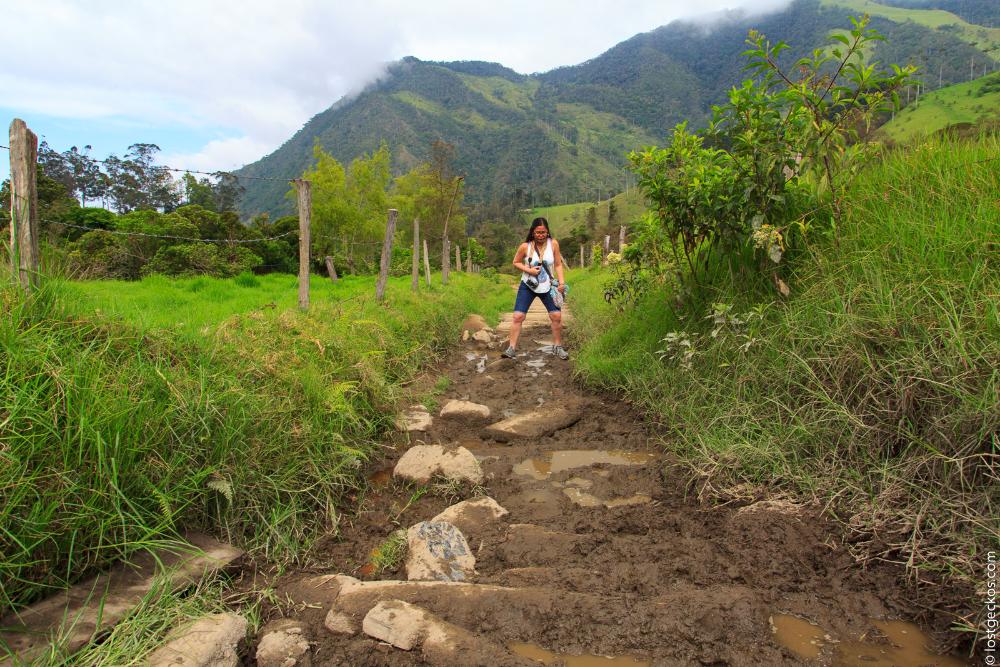Valle Del Cocorra 1834