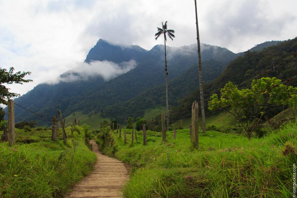 Valle Del Cocorra 1837
