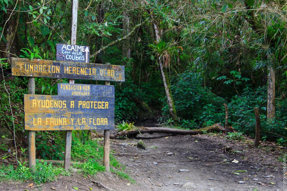 Valle Del Cocorra 1887
