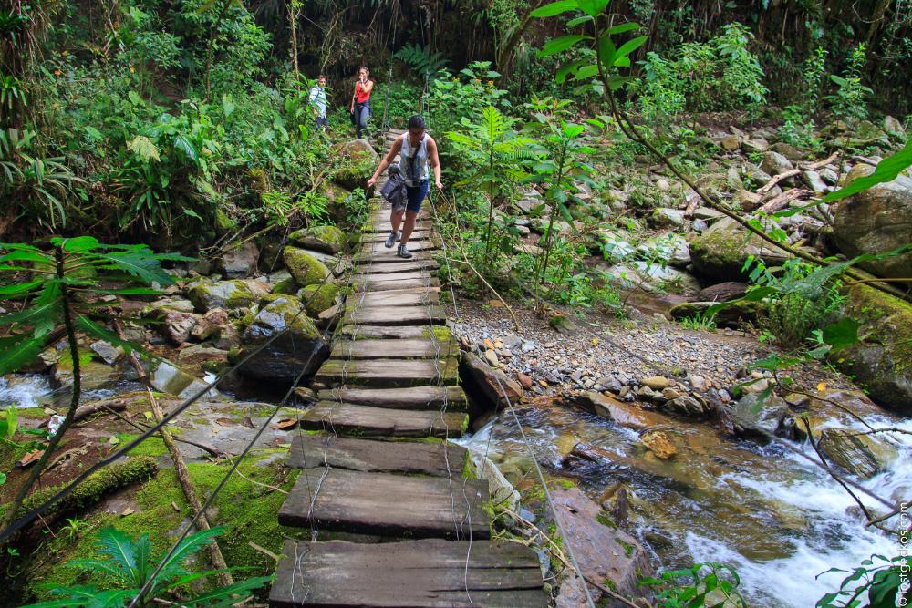 Valle Del Cocorra 1910