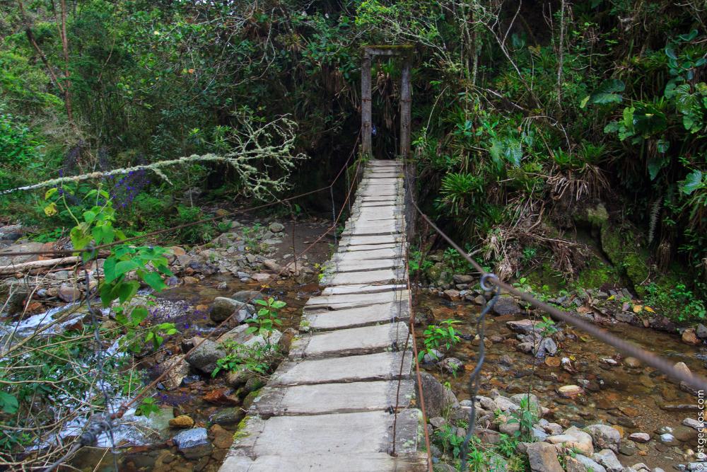 Valle Del Cocorra 1926