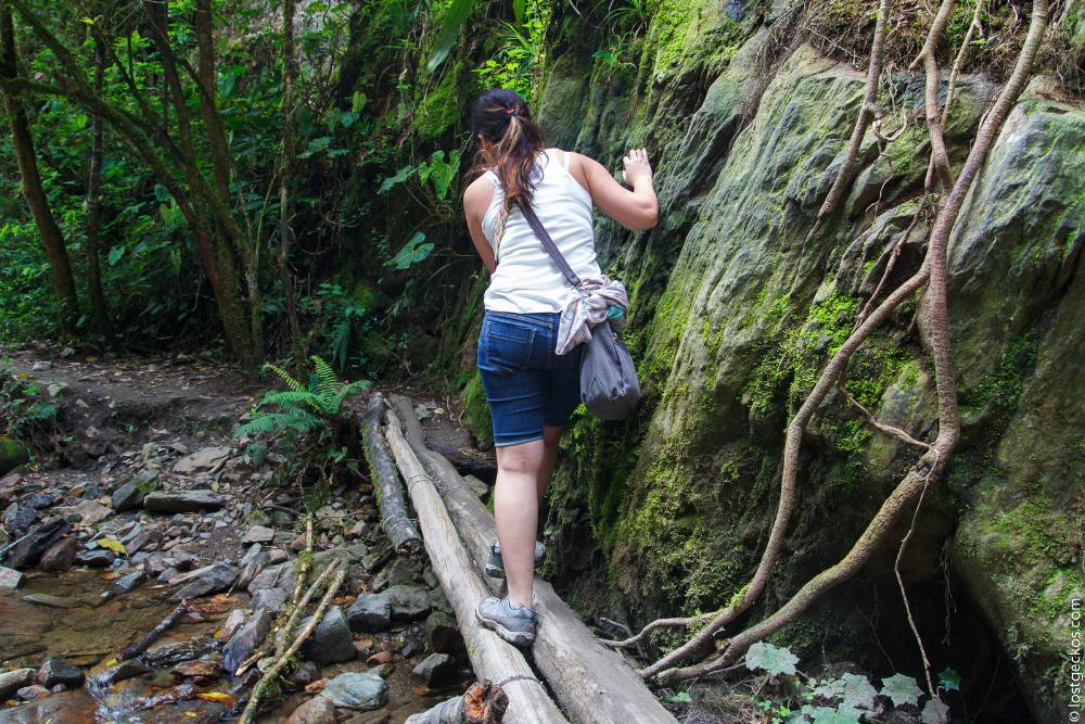 Valle Del Cocorra 1929