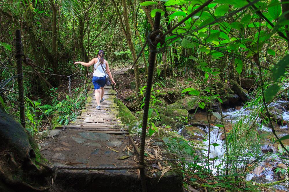 Valle Del Cocorra 1933