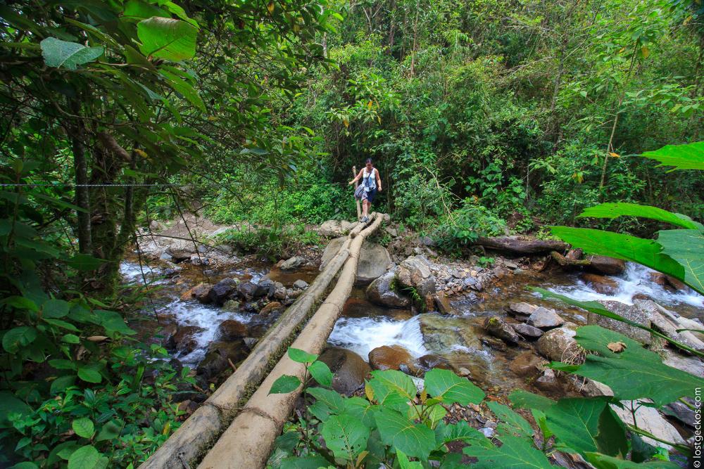 Valle Del Cocorra 1953