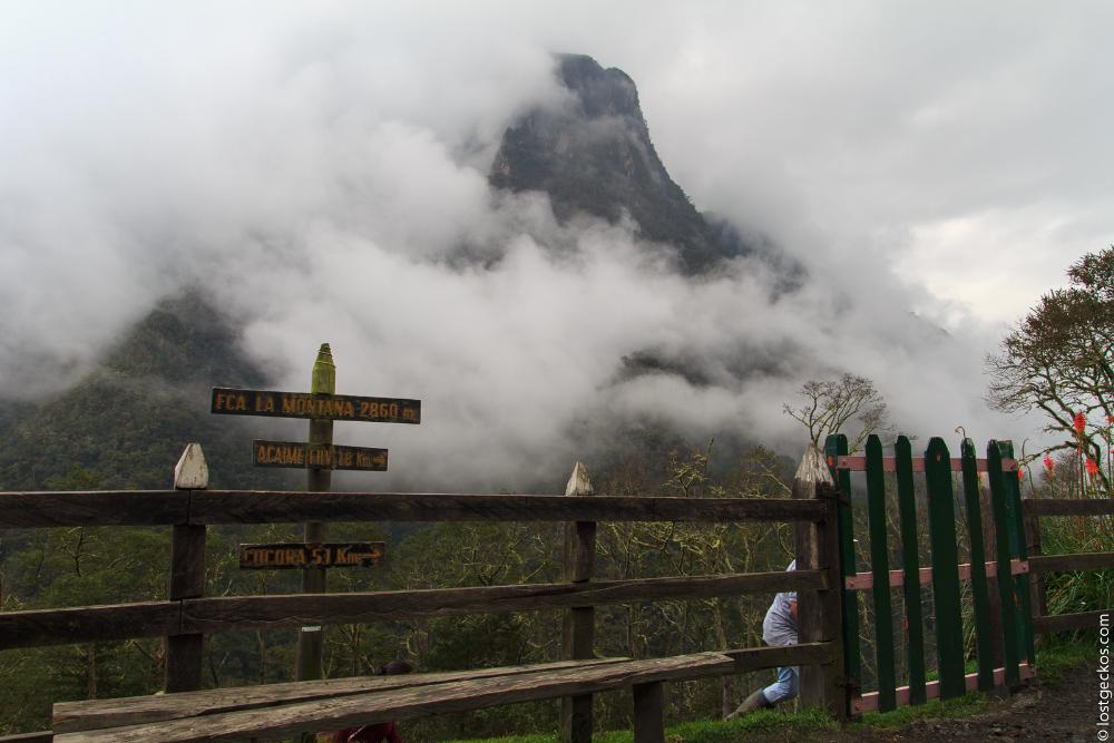 Valle Del Cocorra 2084