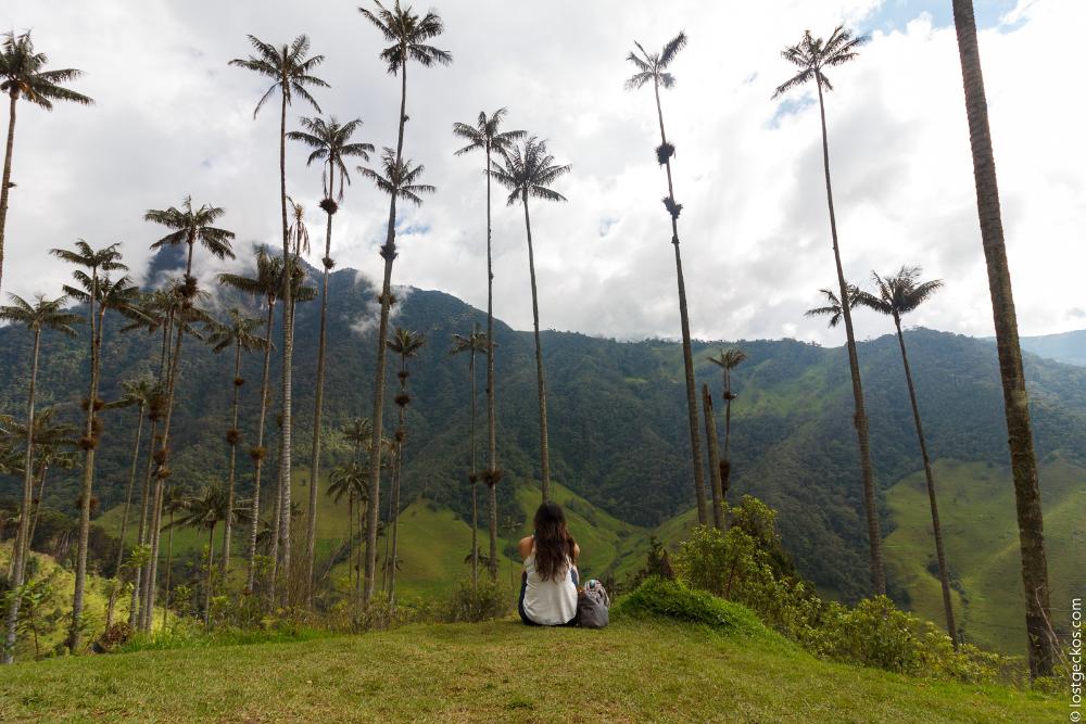 Valle Del Cocorra 2147