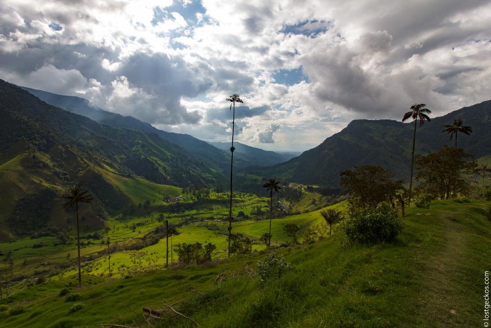 Valle Del Cocorra 2164